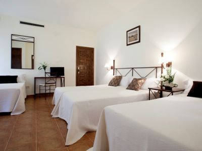 Sercotel Imperial 3* Toledo